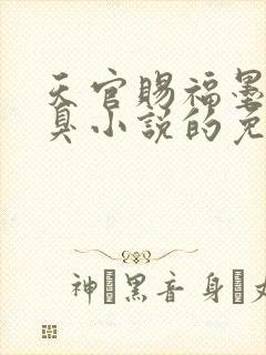 天官赐福墨香铜臭小说的免费阅读