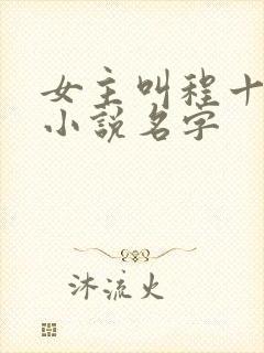 女主叫程十鸢的小说名字