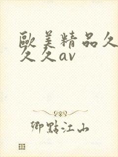 欧美精品久久久久久av
