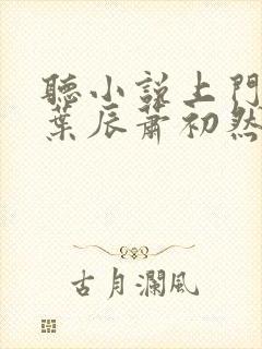 听小说上门龙婿叶辰萧初然封面