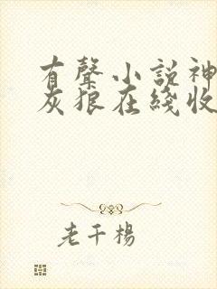 有声小说神墓大灰狼在线收听