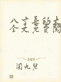 八寸长的大宝贝全文免费阅读