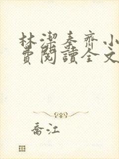 林洁秦齐小说免费阅读全文最新章节封面