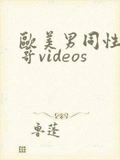 欧美男同性恋帅哥videos