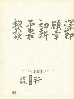 黎予初顾泽琛小说最新章节更新内容