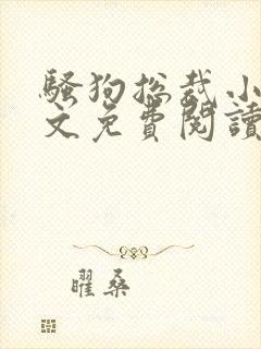 骚狗总裁小说全文免费阅读最新章节