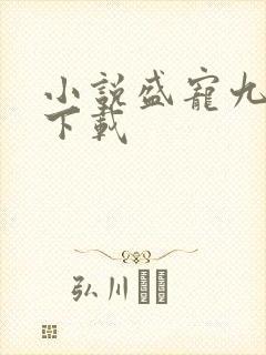 小说盛宠九皇妃下载