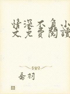 情深不负小说全文免费阅读封面