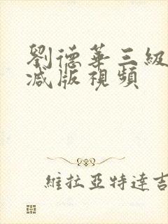 刘德华三级无删减版视频