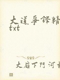 大道争锋精校版txt