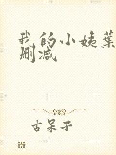 我的小姨叶凡无删减