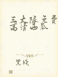 三大队免费观看高清西瓜