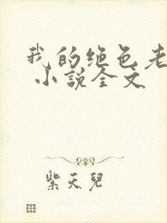 我的绝色老板娘 小说全文