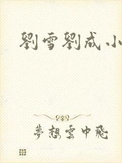 刘雪刘成小说