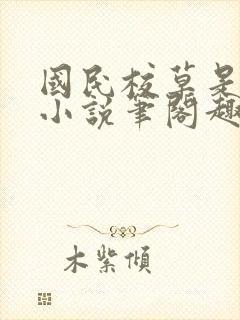 国民校草是女生小说笔阁趣封面