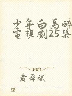 少年白马醉春风电视剧25集免费观看