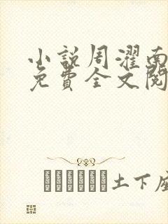 小说周濯南景棠免费全文阅读