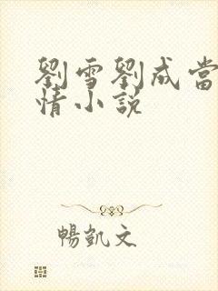 刘雪刘成当代爱情小说