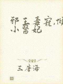 邪王毒宠,倾城小医妃