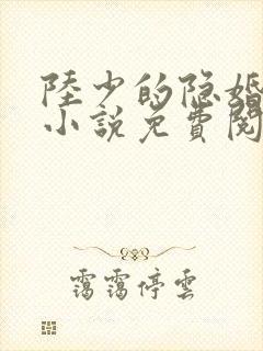 陆少的隐婚罪妻小说免费阅读