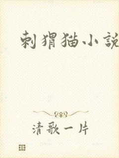 刺猬猫小说阅读