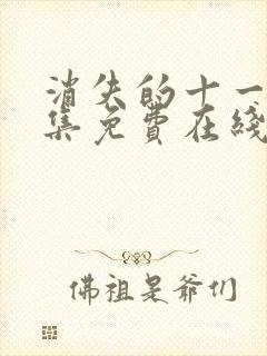 消失的十一层全集免费在线观看