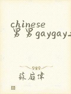 chinese男男gaygay无套网站