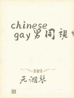 chinese gay男同视频封面