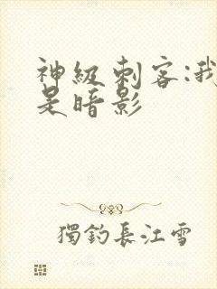 神级刺客:我即是暗影封面