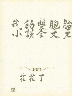 我的双胞胎夫君小说全文免费阅读