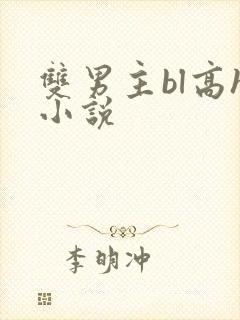 双男主bl高h小说封面