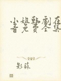 小姐韩剧在线观看免费全集电视剧高清封面