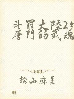 斗罗大陆2绝世唐门的武魂封面