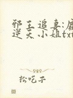 邪王追妻:废材逆天小姐txt下载