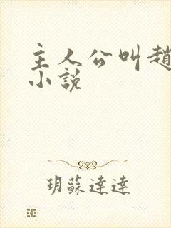 主人公叫赵明的小说封面