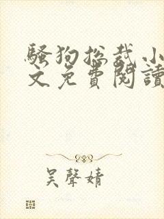 骚狗总裁小说全文免费阅读最新章节