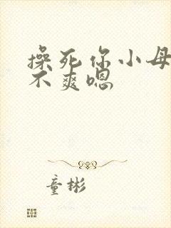 操死你小母狗爽不爽嗯