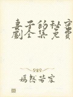 妻子的秘密电视剧全集免费观看西瓜封面