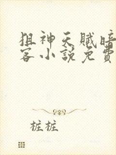 狙神天赋暗影刺客小说免费阅读