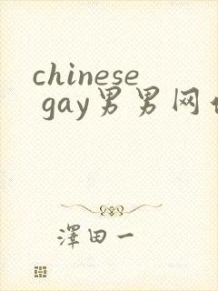 chinese gay男男网站