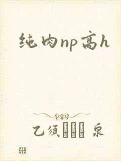 纯肉np高h