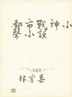 都市战神小说有声小说