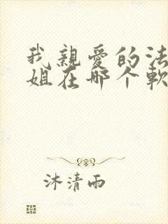 我亲爱的法医小姐在哪个软件看小说