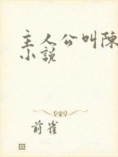 主人公叫陈潇的小说封面