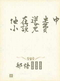 他在逆光中告白小说免费封面