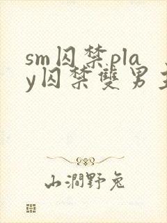 sm囚禁play囚禁双男主