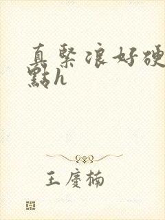 真紧浪好硬再快点h