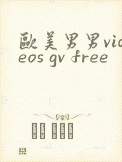 欧美男男videos gv free封面