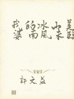 我的冰山美女老婆 南风未临