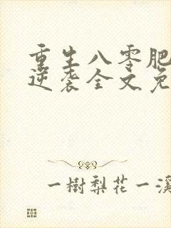 重生八零肥妻要逆袭全文免费阅读封面